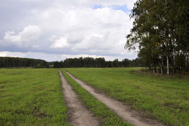 Участок зелено продать. Экопарк Суздаль. Экопарк в Суздале фото. Экопарк Суздаль отзывы.