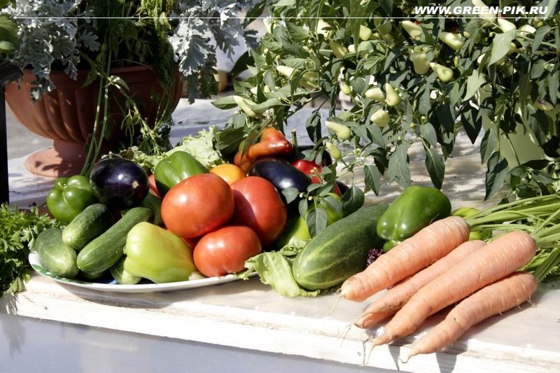 Препарат урожай. Биогумус для овощей. Овощи растят на химии. Биогумус урожай. Овощи на левой стороне.