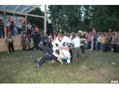 Кулачные бои